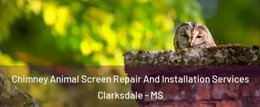  Chimney Animal Screen Repair And Installation Services Clarksdale - MS