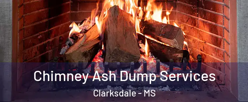  Chimney Ash Dump Services Clarksdale - MS