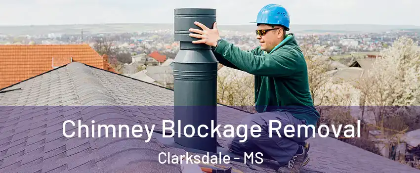  Chimney Blockage Removal Clarksdale - MS