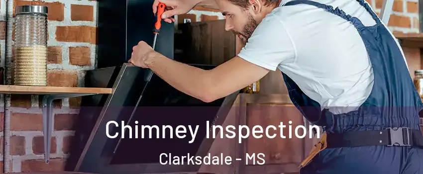  Chimney Inspection Clarksdale - MS