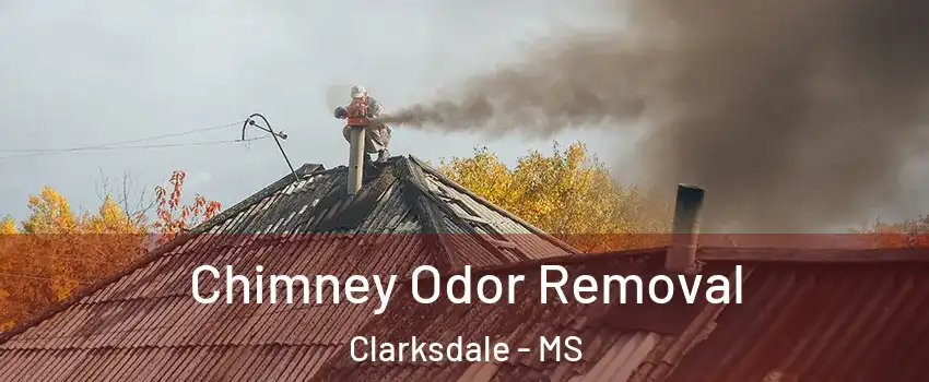  Chimney Odor Removal Clarksdale - MS