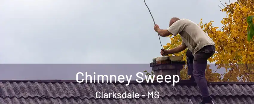  Chimney Sweep Clarksdale - MS