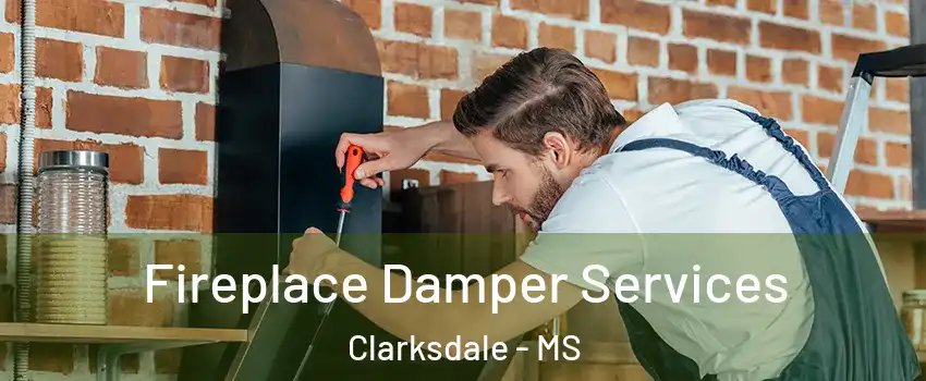  Fireplace Damper Services Clarksdale - MS