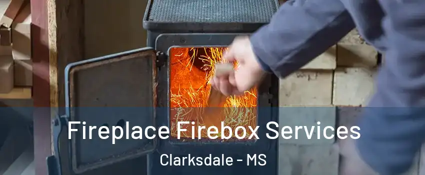  Fireplace Firebox Services Clarksdale - MS