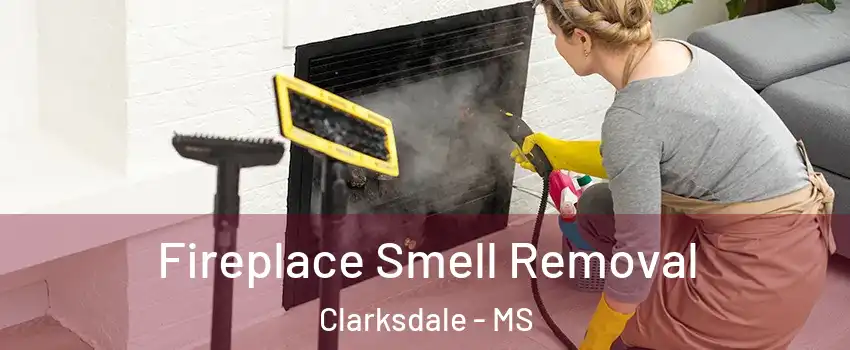  Fireplace Smell Removal Clarksdale - MS