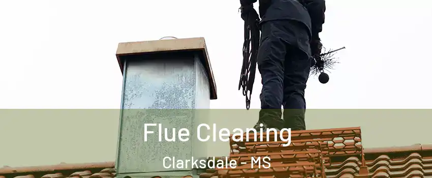  Flue Cleaning Clarksdale - MS