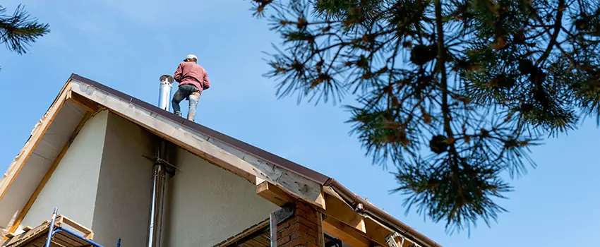 Birds Removal Contractors from Chimney in Clarksdale, MS