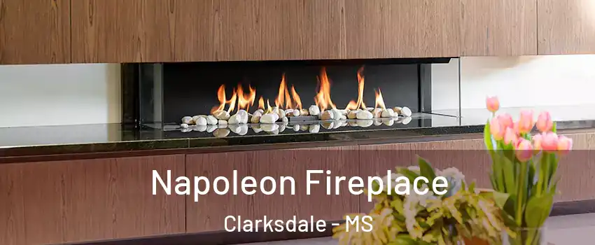  Napoleon Fireplace Clarksdale - MS